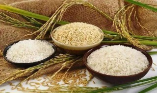 我国主产粮食的地方在哪里(中国的粮食主产地区是哪里)