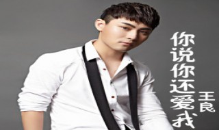 你说你会爱我吗真的爱我吗什么歌（你说你真的爱我吗确定爱我吗是什么歌）