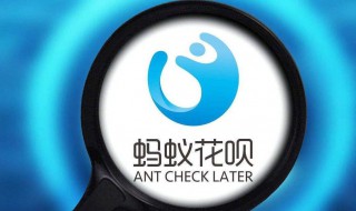 支付宝花呗提前还款可以分开还吗