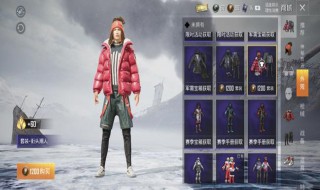 和平精英服饰币用不了 和平精英服饰币用不了怎么办