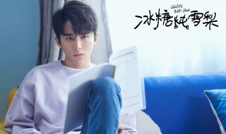 冰糖炖雪梨演的是什么（雪梨炖冰糖演员）