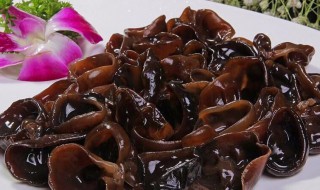 木耳怎样才能快速泡发（木耳怎样才能快速泡发出来）