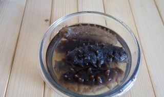 怎样才能泡好海参（海参怎么泡才好）