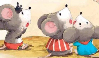 怎样才能把老鼠赶出来 怎样才能把老鼠赶走