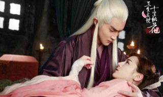 三生三世枕上书具体介绍 三生三世枕上书是哪三生三世