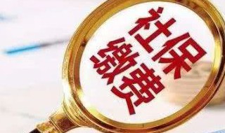 多大年龄办理社保合适（办社保多大年龄办合适）