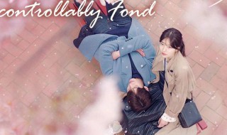 韩剧饰演车贞恩的电视剧（韩剧饰演车贞恩的电视剧有哪些）