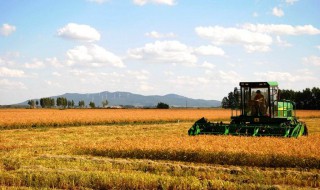 国营农场土地承包期限 国营农场土地承包期限是多少年