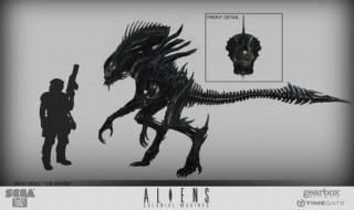 关于异形性的正确叙述是（关于异形性的正确叙述是）