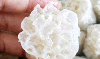 面藕简单做法 面藕简单做法大全