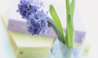 过了生日如何祝福（过生日如何祝福语）