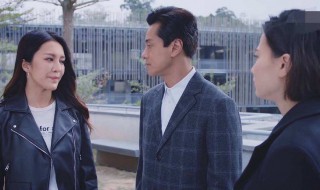 法证先锋4高靖大结局（法证先锋4结局篇）