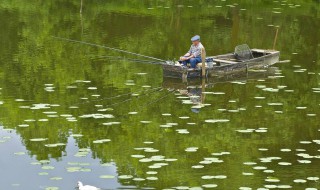 清明节钓鱼钓早还是晚（清明前好钓鱼还是清明后好钓鱼）