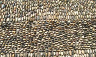 女人走鹅卵石路的好处（经常走鹅卵石对身体有什么好处）