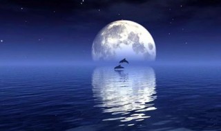 我不是球球如何登录 登录我的球球