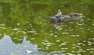 春季下雨降温好钓鱼吗（春季下雨降温好钓鱼吗北方）