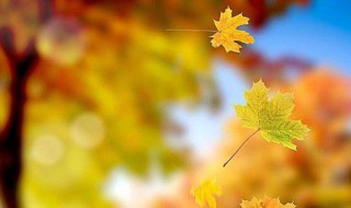 脱落的运动形式是什么? 脱落的运动形式是什么样的