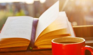 周亚夫军细柳翻译（周亚夫军细柳翻译简短100字）