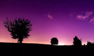 目不暇接有怎样的表达效果?（目不暇接用来形容什么）