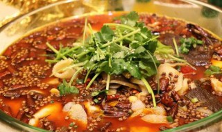 毛肚锅的简单做法（毛肚锅的简单做法视频）