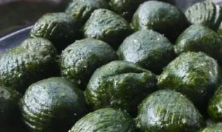 艾草最简单的做法(艾草怎么做法好)