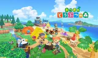 动物森友会如何过河（动物森友会如何填河）