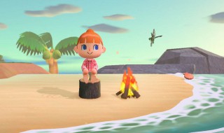 动物森友会如何加好友(动物森友会好友列表)