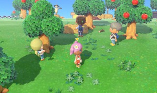 动物森友会如何多人 动物森友会怎么多人