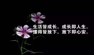 激发人励志的句子 激励人的励志句子