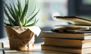 欢迎句子简短（简短的欢迎词一句话）