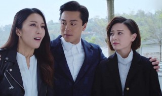 法证先锋高善到底是谁 法证先锋4最后找到高善了吗