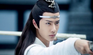 陈情令电视剧演员列表（陈情令 电视剧演员）