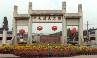 武汉大学哪里樱花多（武汉大学的樱花有多美）