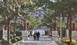 北京怎样网上预约扫墓 北京扫墓预约在哪里预约
