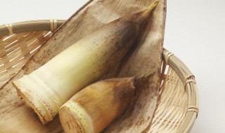 腐笋如何处理（挖的笋怎么处理）