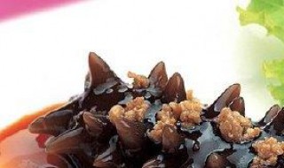 红海参叫什么 红海参是什么样子的图片