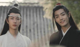 魏婴真的爱蓝湛么 魏婴真的爱蓝湛么