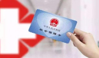 公司社保金怎么缴纳（公司社保怎么缴纳的）