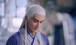 三生三世枕上书是怎样更新的 三生三世枕上书更新速度