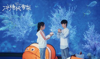 冰糖炖雪梨黎语冰的扮演者(冰糖炖雪梨电视剧演员表小黎语冰)