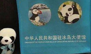 发留学生健康包里有什么 中国留学生发健康包