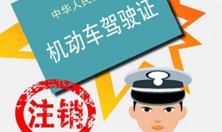 机动车年检过期多久会被注销（机动车年检过期多久会被注销掉）