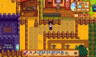 星露谷觅食5级选什么(星露谷觅食5级选什么职业)