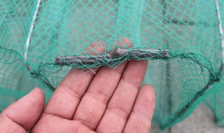 怎么才能让虾进地笼（地笼进去虾还能出来吗）