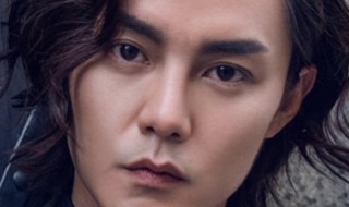 鬓边不是海棠红京剧顾问（鬓边不是海棠红京剧指导）