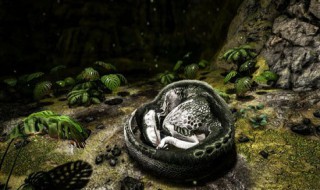 方舟手游有哪些牛逼生物 方舟最好玩的生物