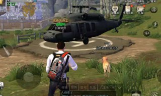 明日之后不加营地可以同居吗(明日之后不跟营地可以同居吗)