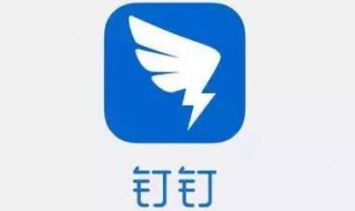 钉钉隐身对你可见勋章怎么获得（钉钉没有勋章功能）