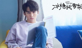 冰糖炖雪梨喻言家庭背景（《冰糖炖雪梨》喻言）