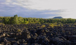 为什么东北的叫黑土地呢?（为啥东北是黑土地）